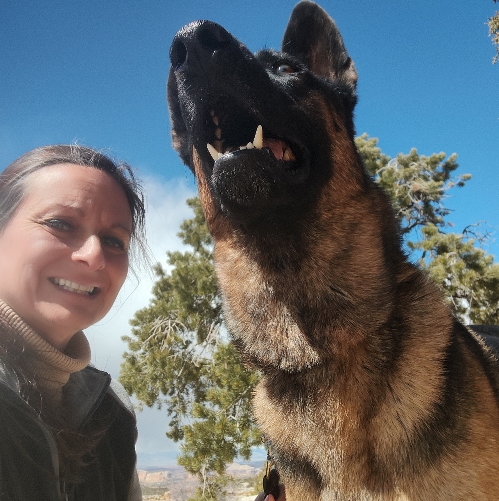 Meet your Posher, Posh